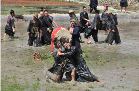 develop_guizhou_area2